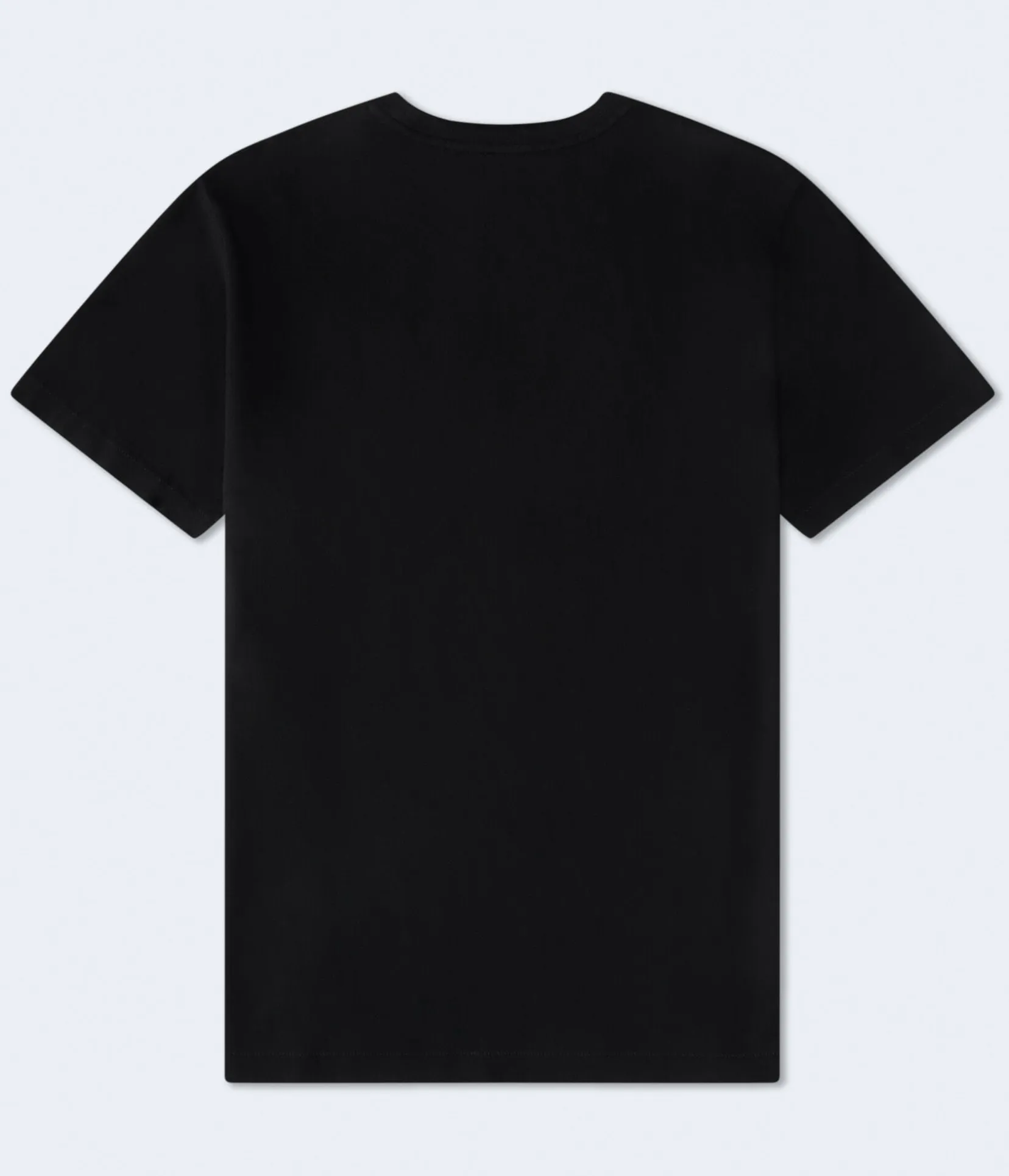 Aero Athletics Bear Appliqué Graphic Tee