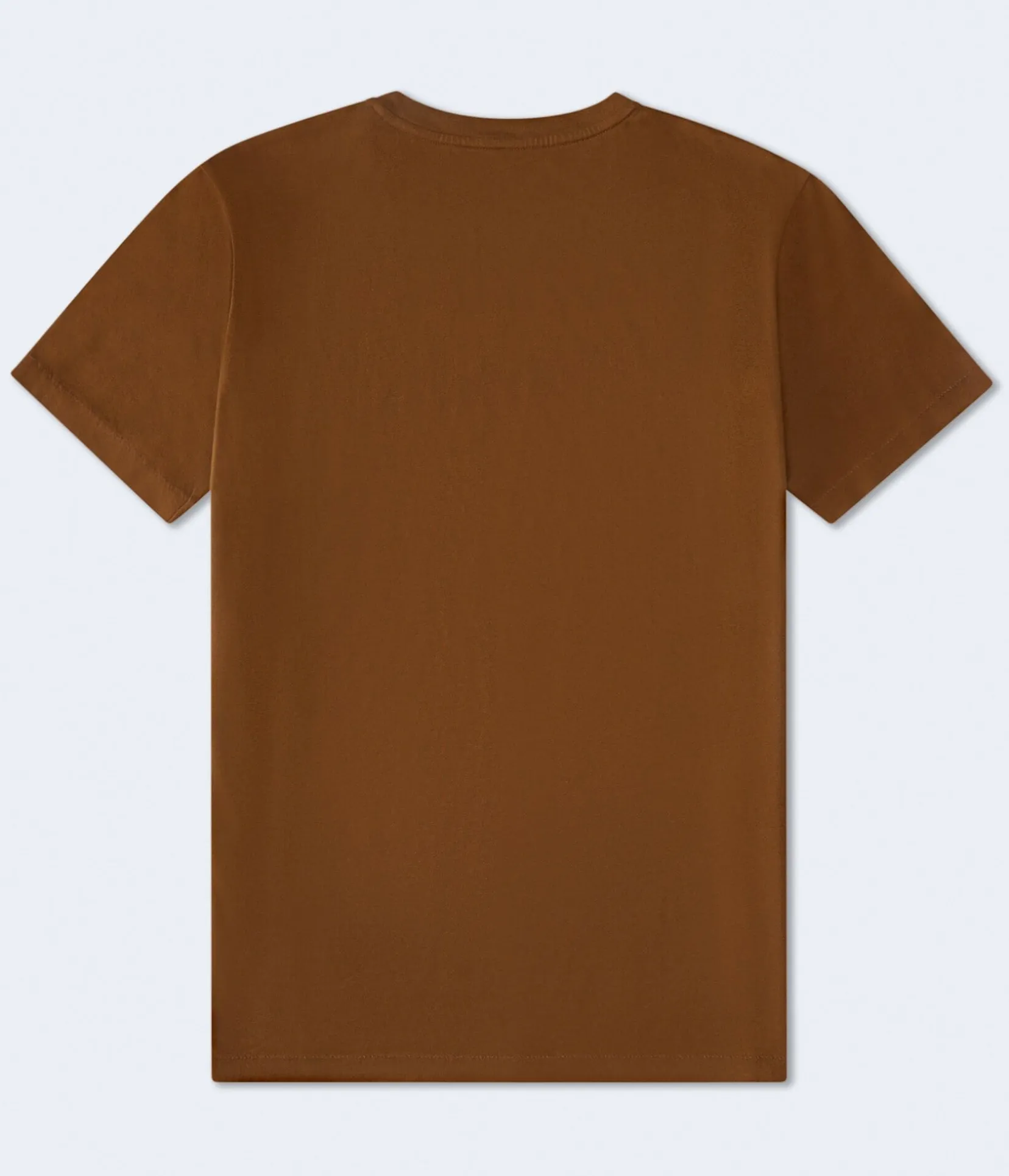 Aero Athletics Bear Appliqué Graphic Tee