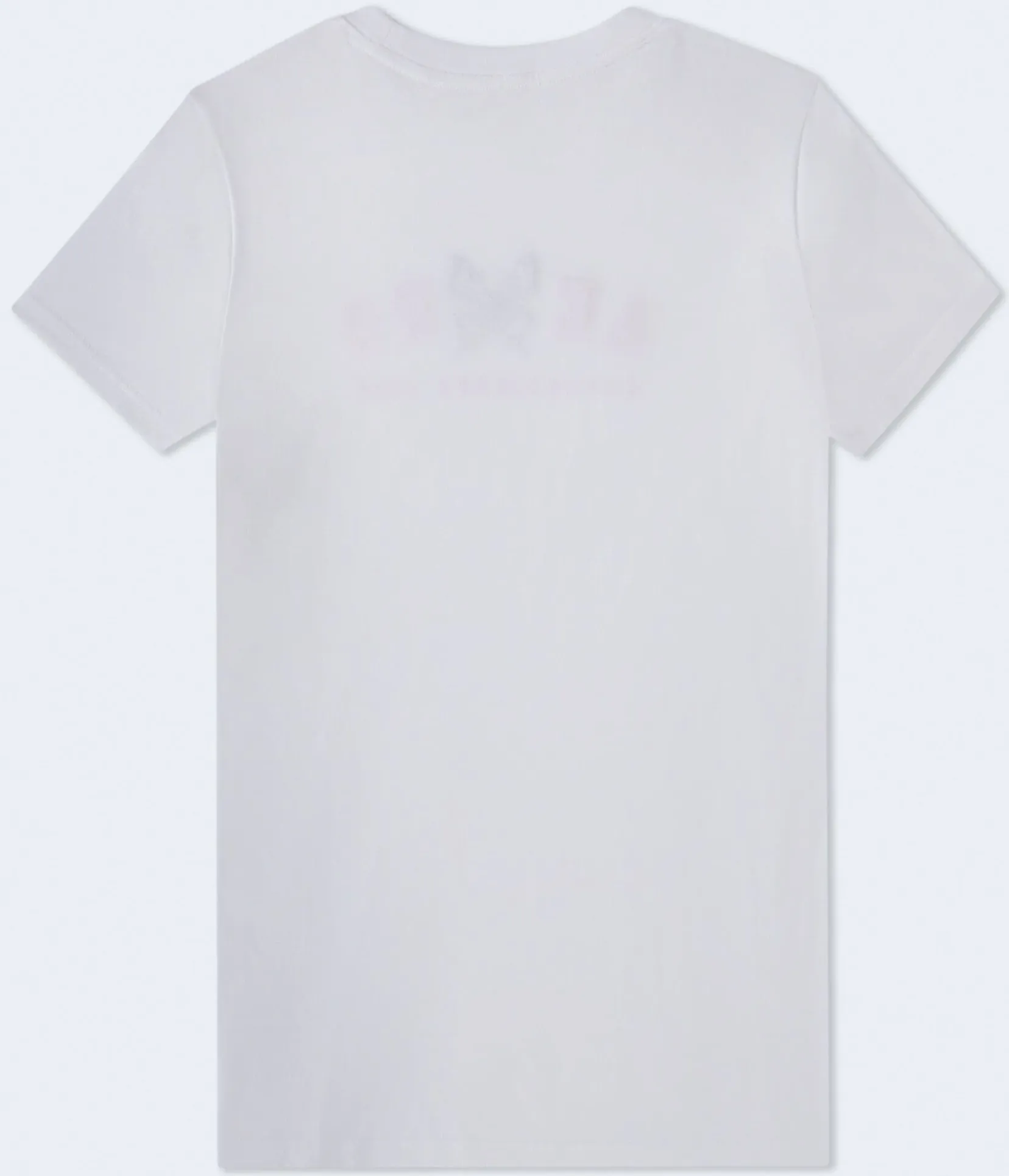Aero Butterfly Graphic Tee