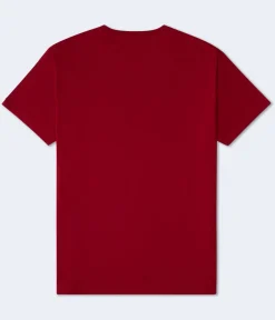 Aero Flame Logo Graphic Tee