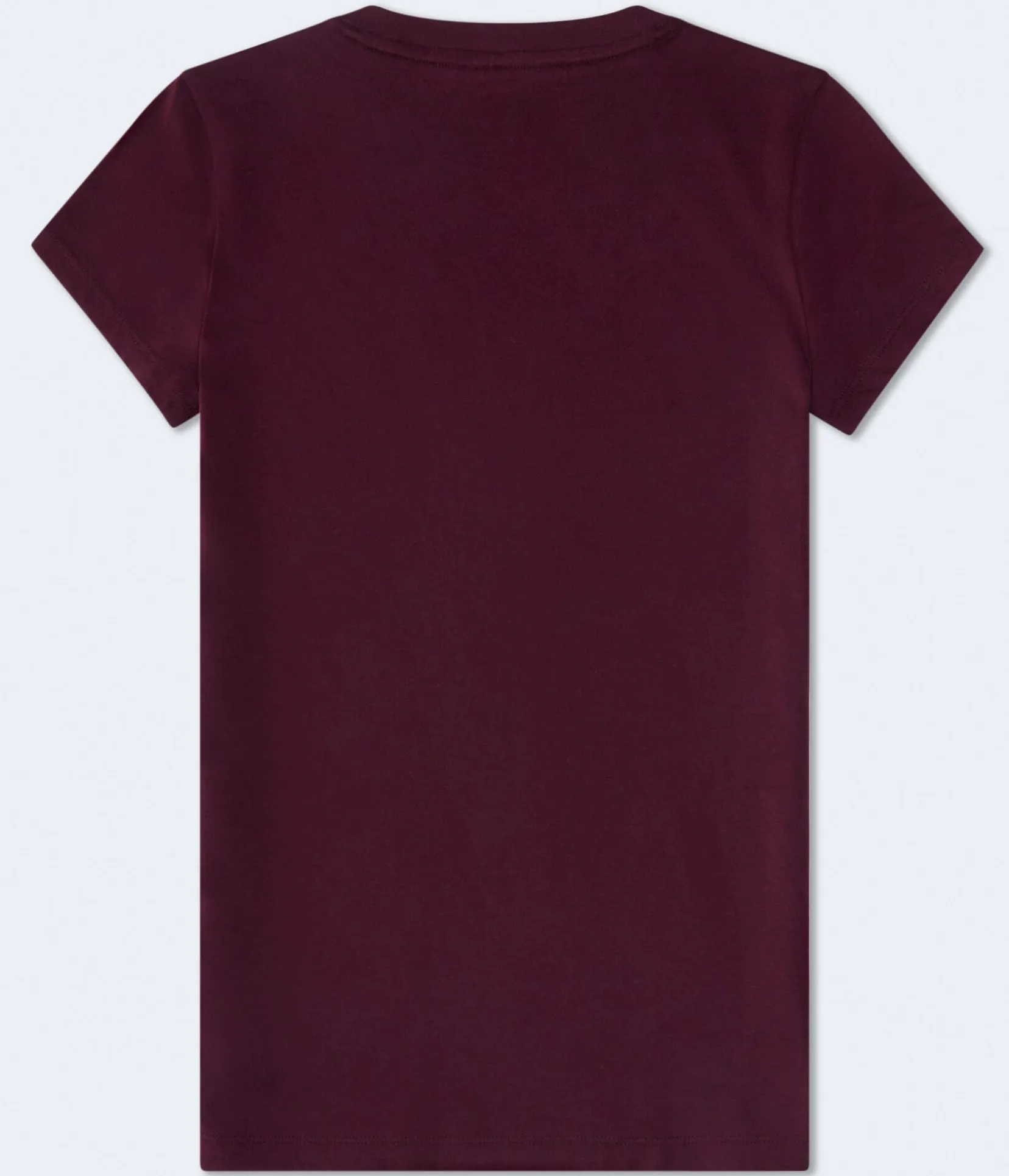 Aero Original Arch Appliqué Graphic Tee