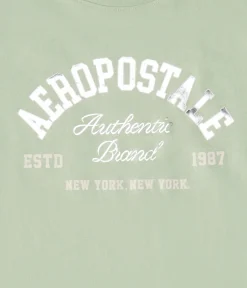 Aeropostale Arch Foil Graphic Tee