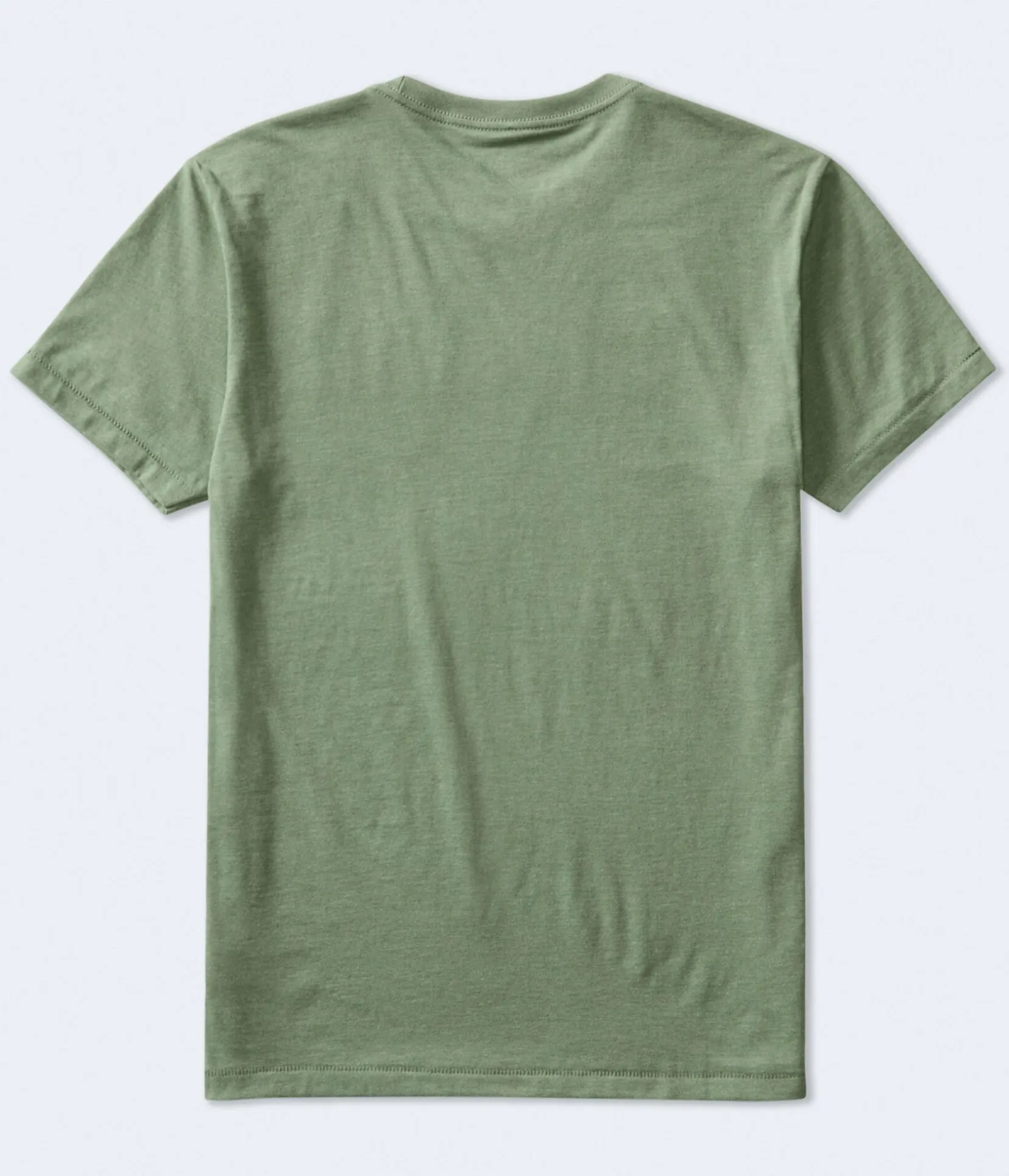 Aeropostale Authentic Logo Flocked Graphic Tee