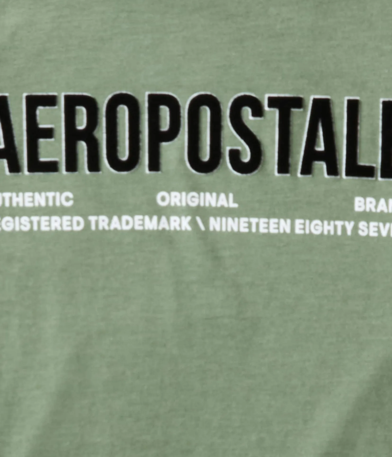 Aeropostale Authentic Logo Flocked Graphic Tee
