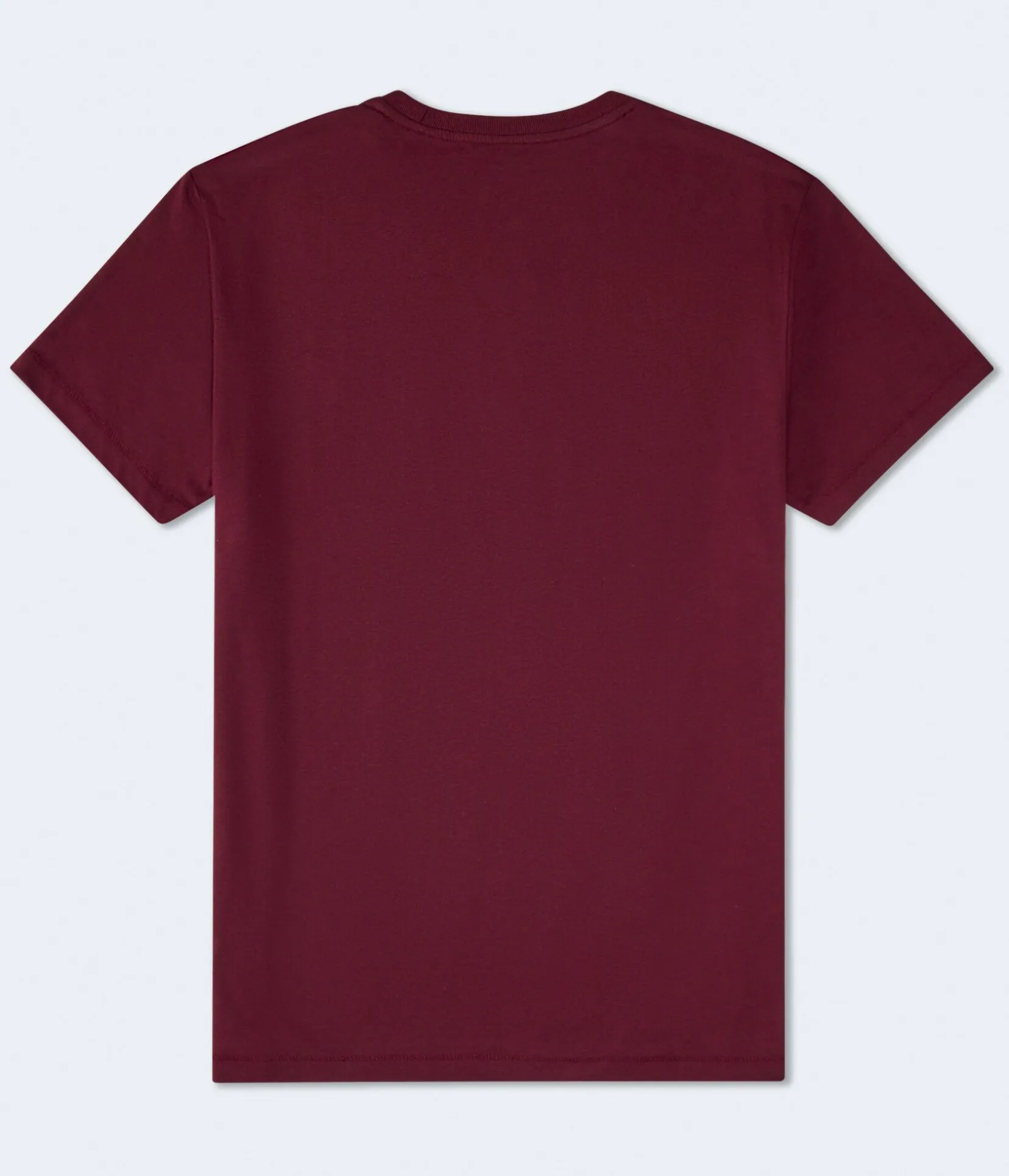 Aeropostale Authentic Logo Flocked Graphic Tee