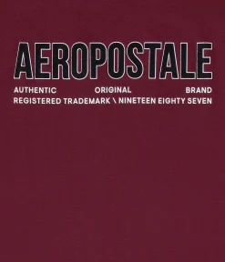 Aeropostale Authentic Logo Flocked Graphic Tee