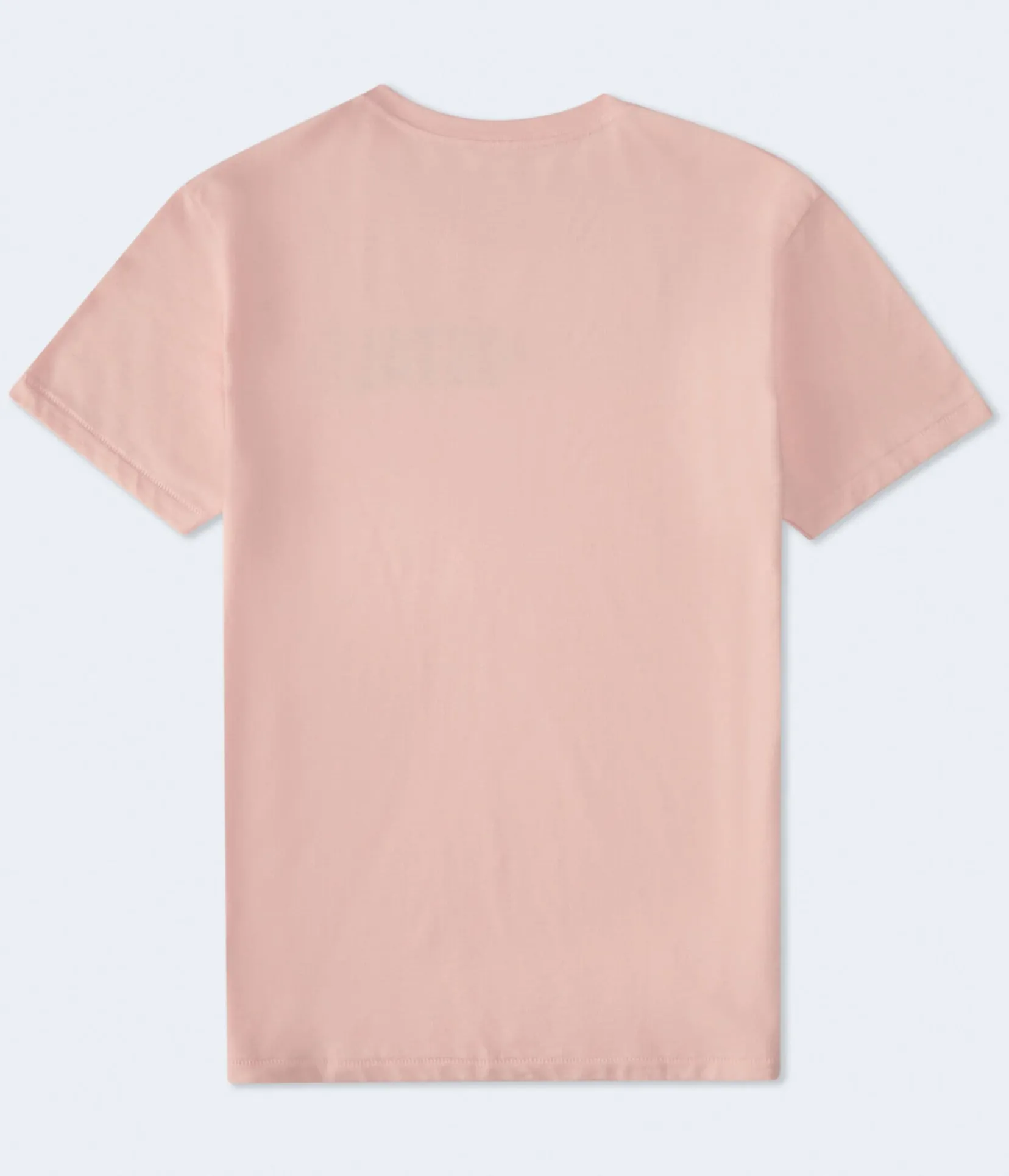 Aeropostale Authentic Logo Flocked Graphic Tee