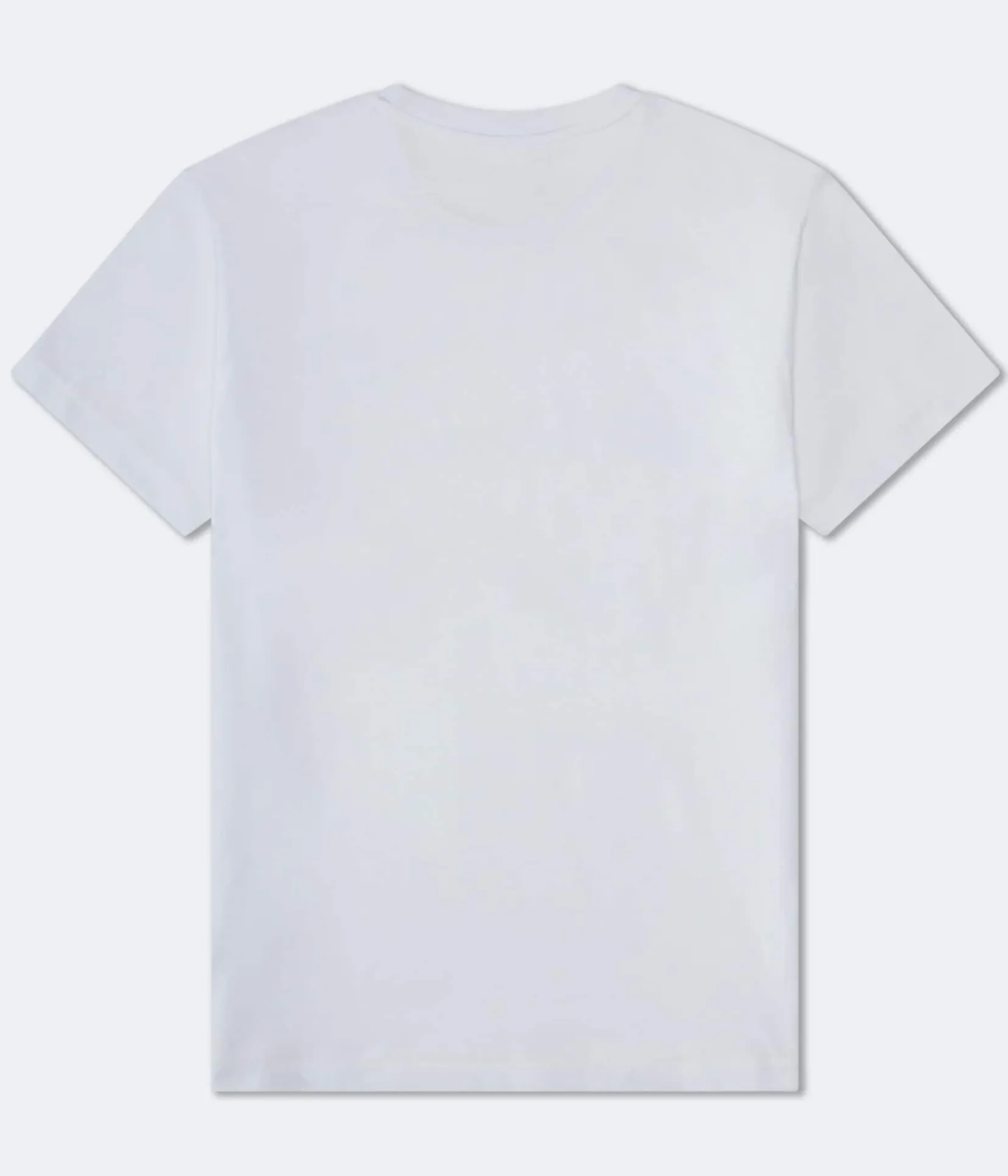 Aeropostale Authentic Logo Flocked Graphic Tee