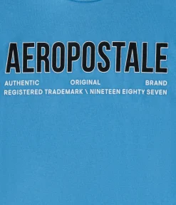 Aeropostale Authentic Logo Flocked Graphic Tee