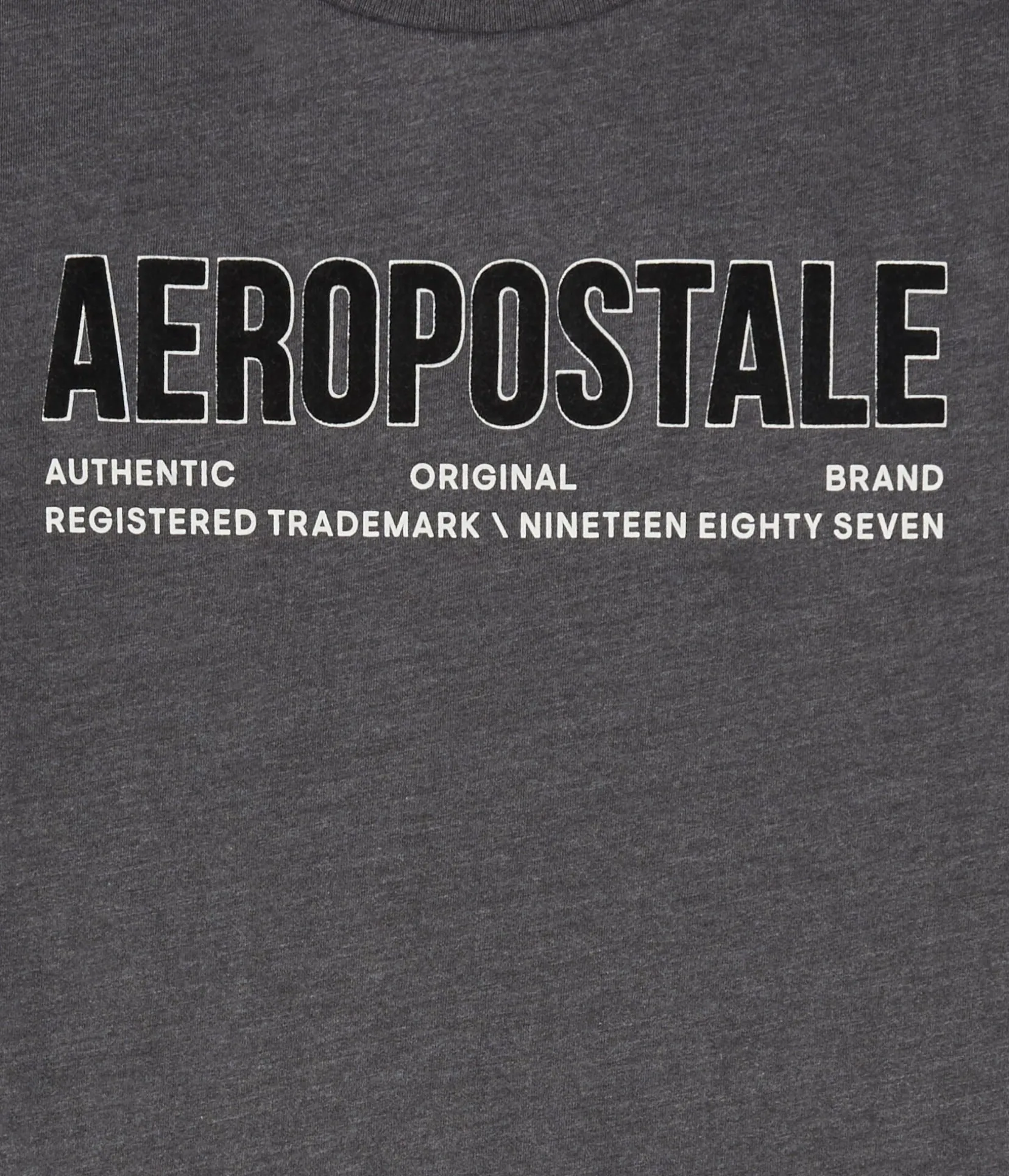 Aeropostale Authentic Logo Flocked Graphic Tee