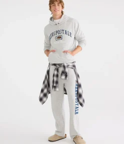 Aeropostale Bear Heritage Pullover Hoodie