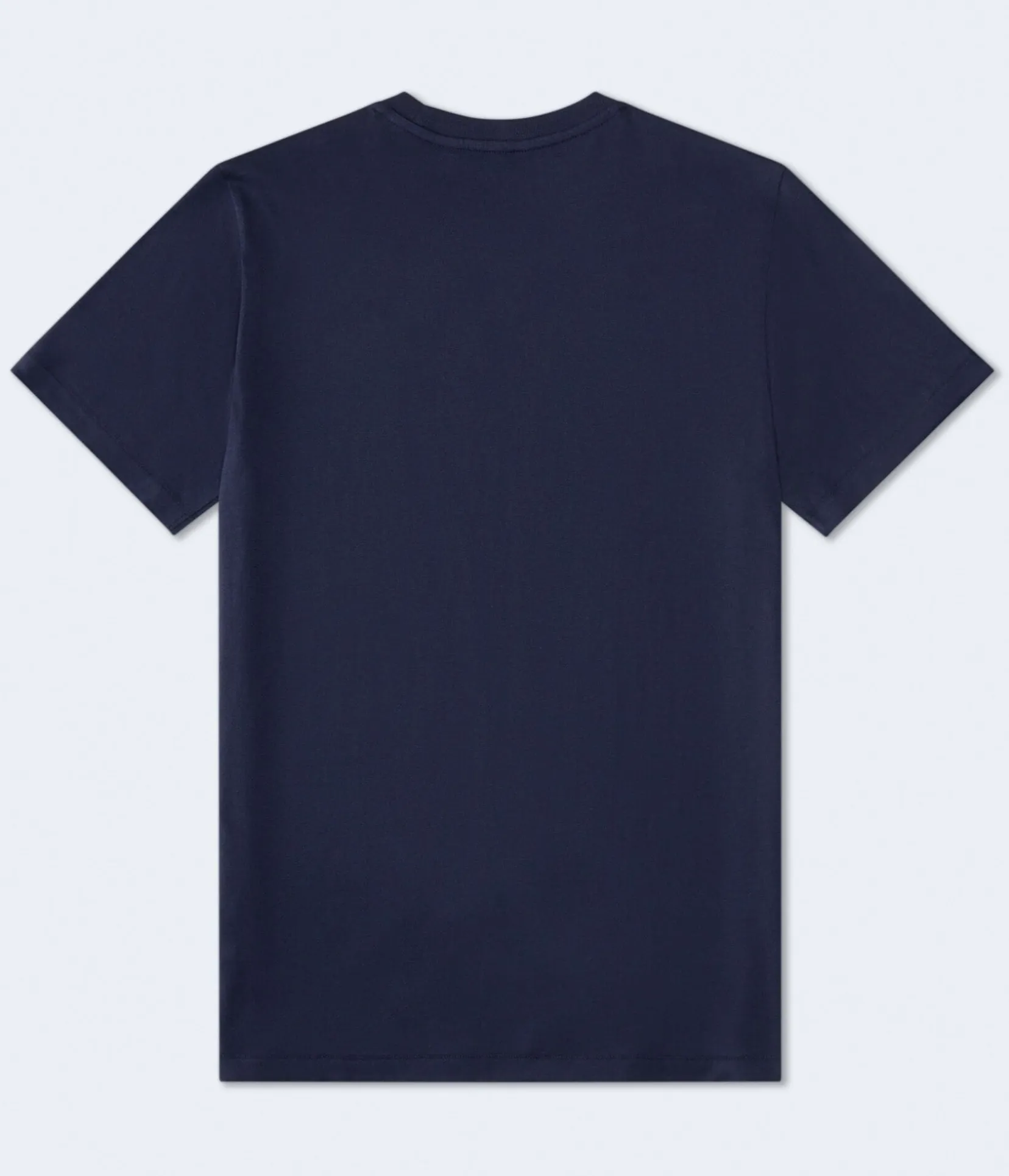 Aeropostale Bulldog Appliqué Graphic Tee