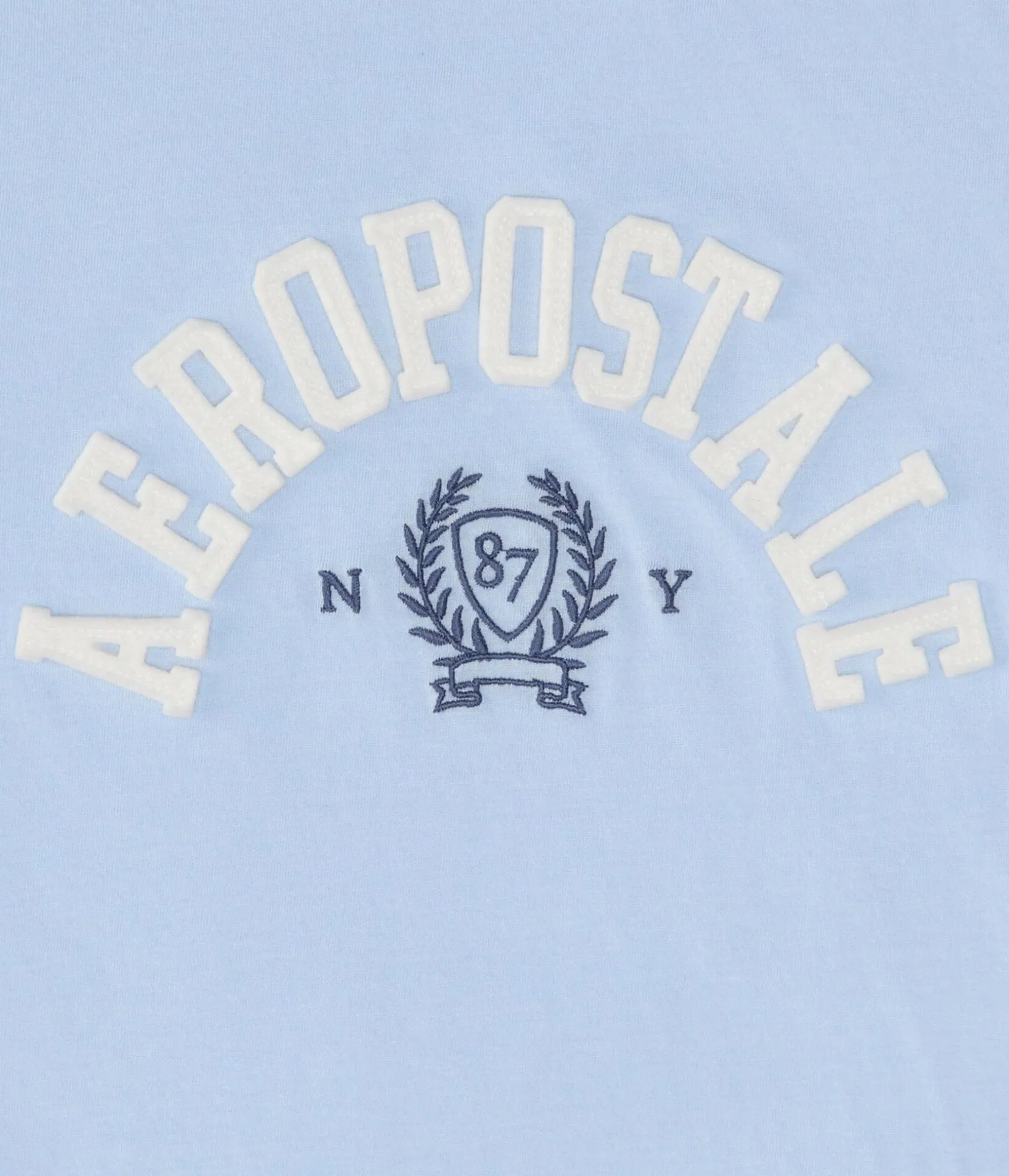 Aeropostale Crest Appliqué Graphic Tee