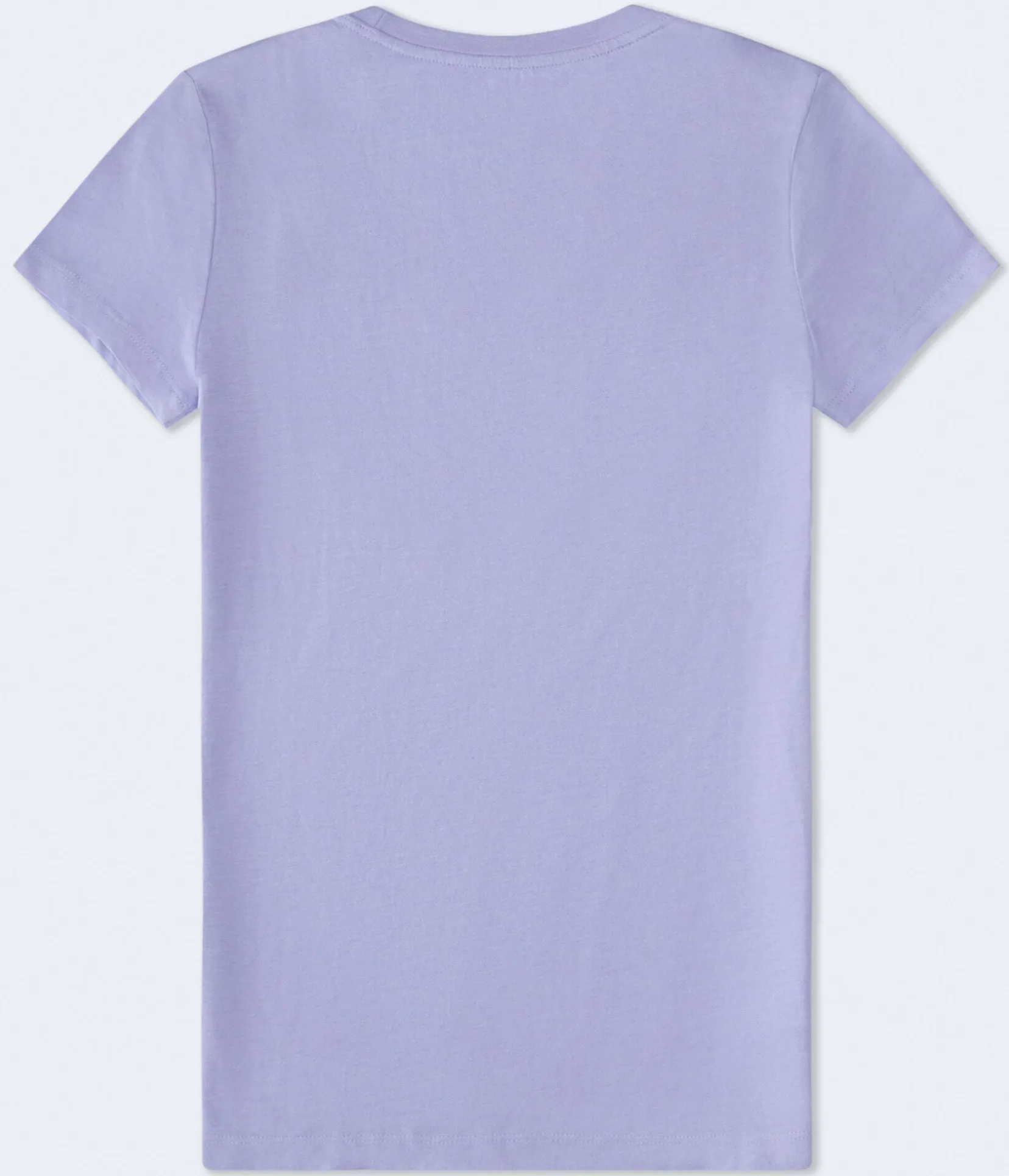 Aeropostale 1987 Flocked Graphic Tee