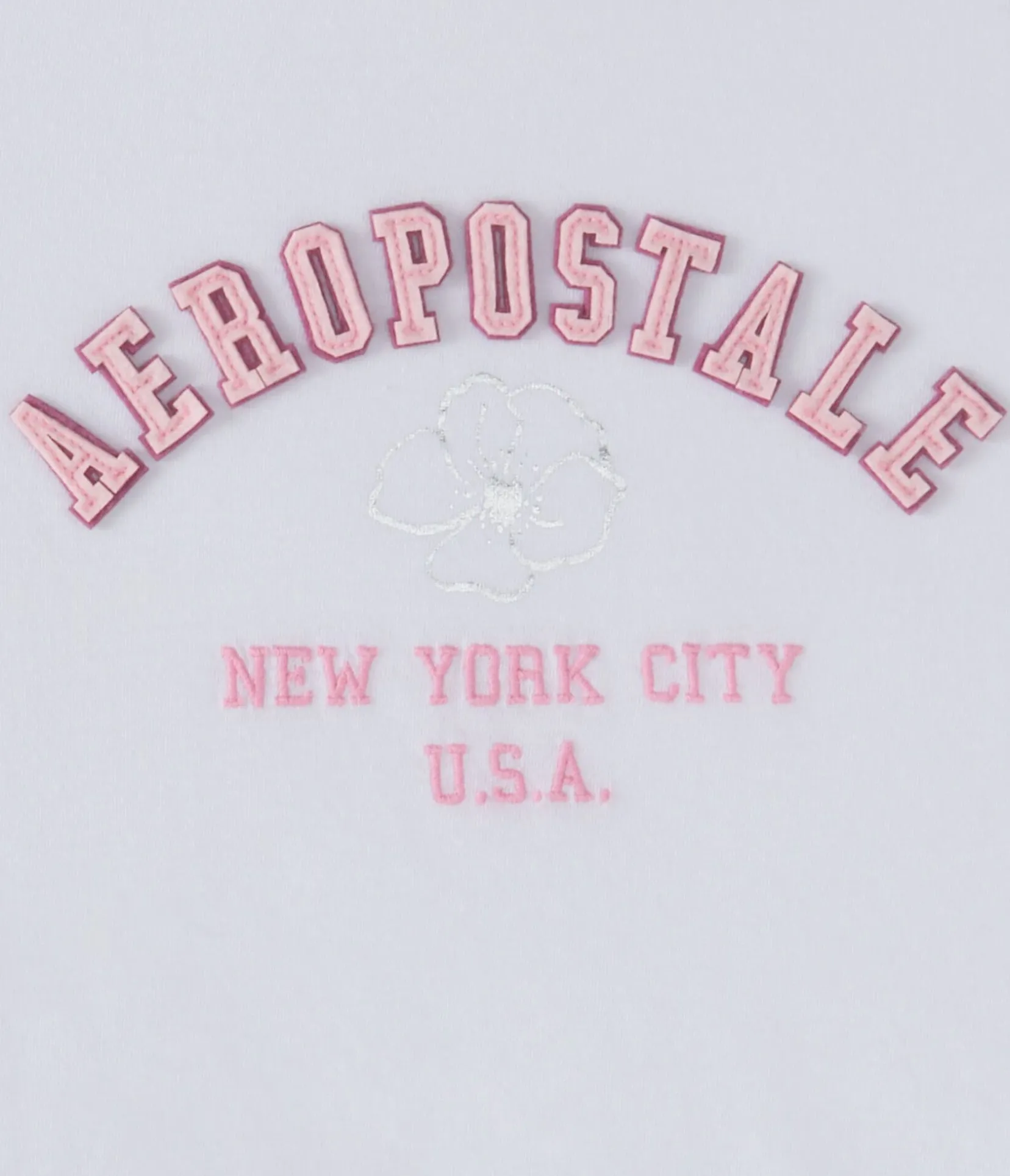 Aeropostale Floral Arch Appliqué Graphic Tee