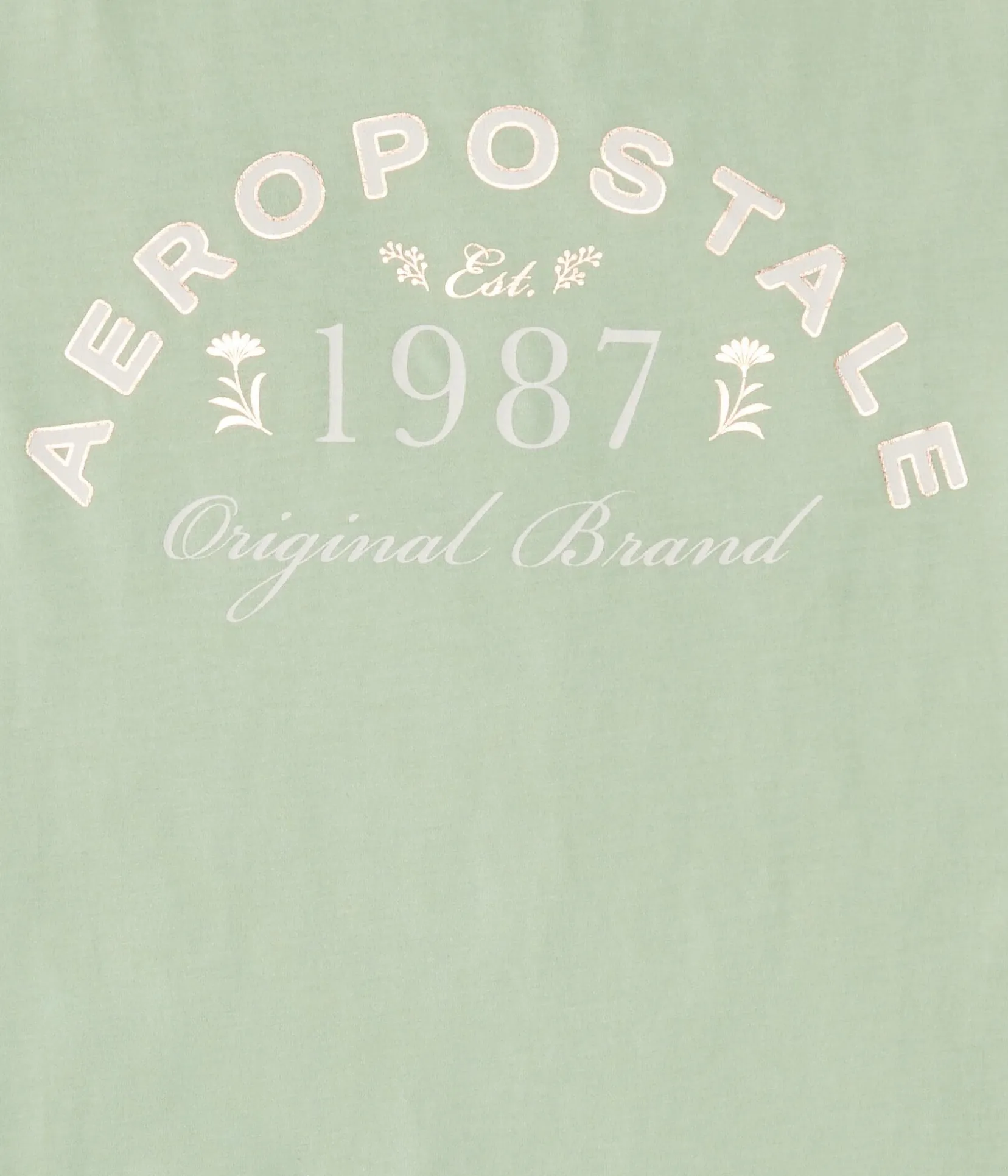 Aeropostale 1987 Foil Graphic Tee