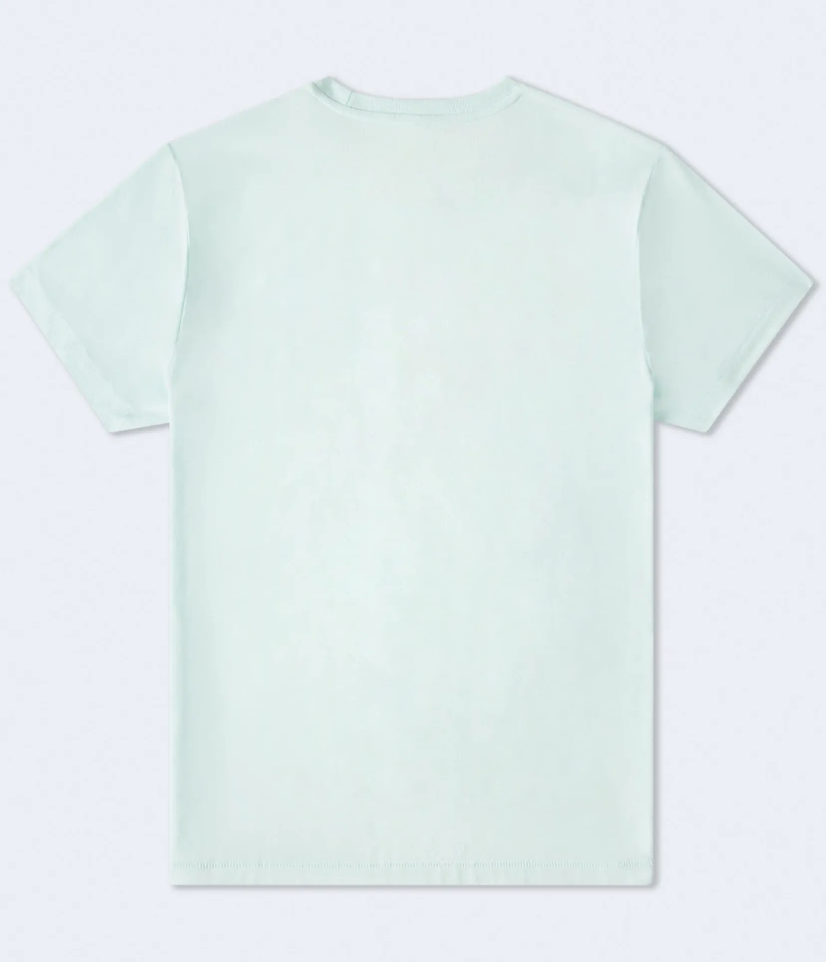 Aeropostale Liberty Flocked Graphic Tee