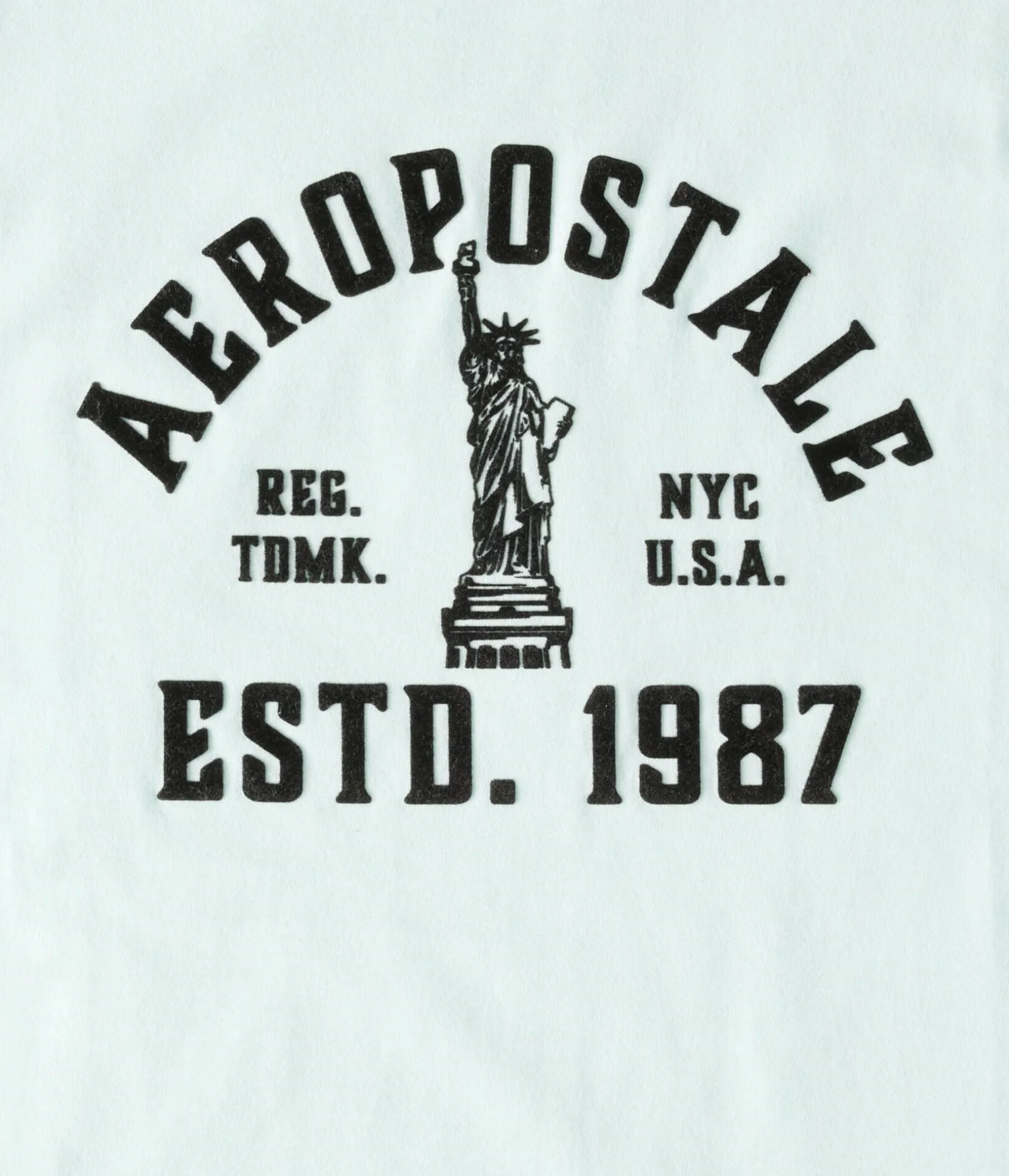 Aeropostale Liberty Flocked Graphic Tee