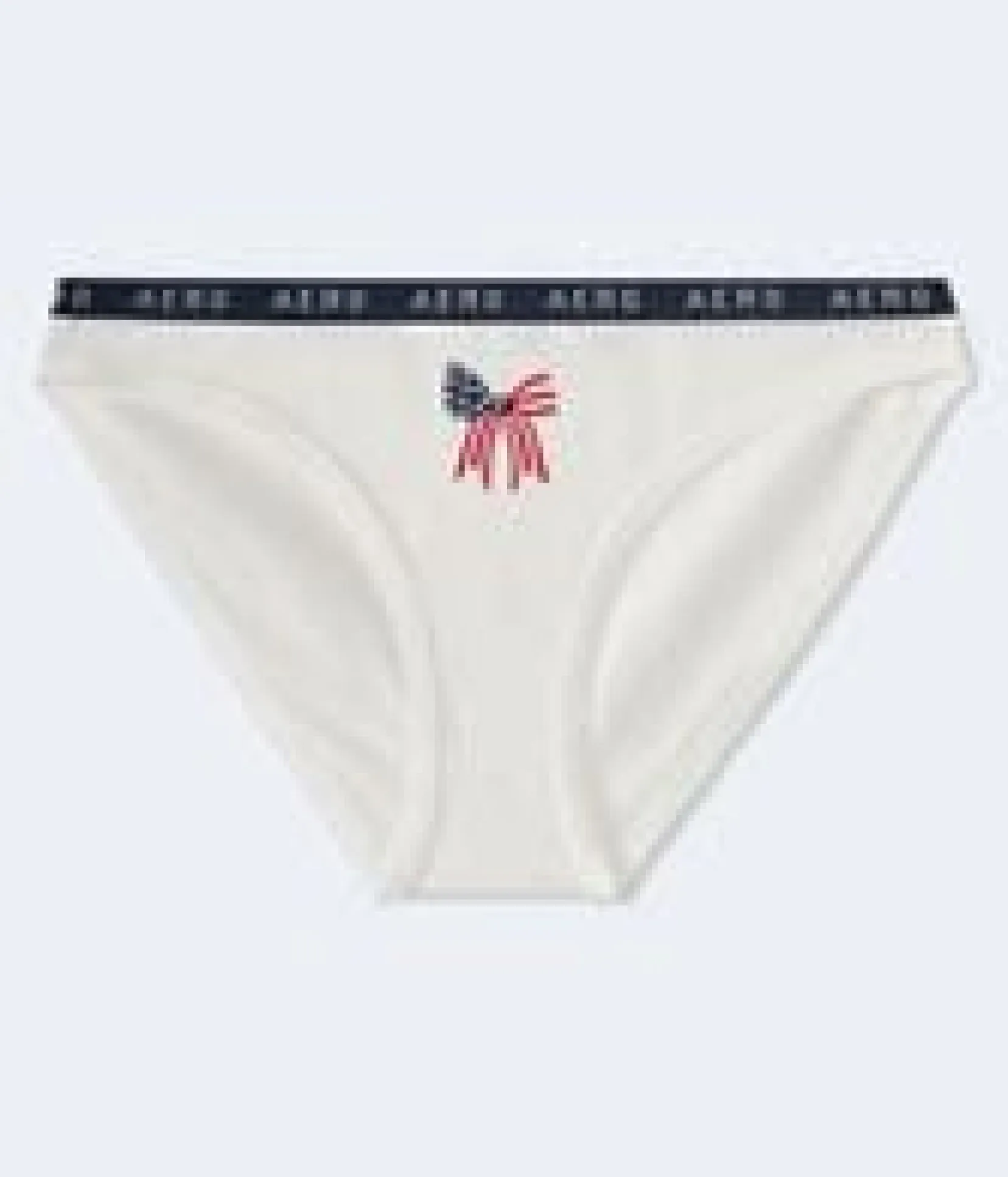 American Flag Bow Logo Bikini