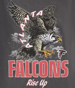 Atlanta Falcons Mascot Relaxed Graphic Tee