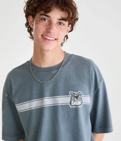 Bulldog Stripe Washed Graphic Tee