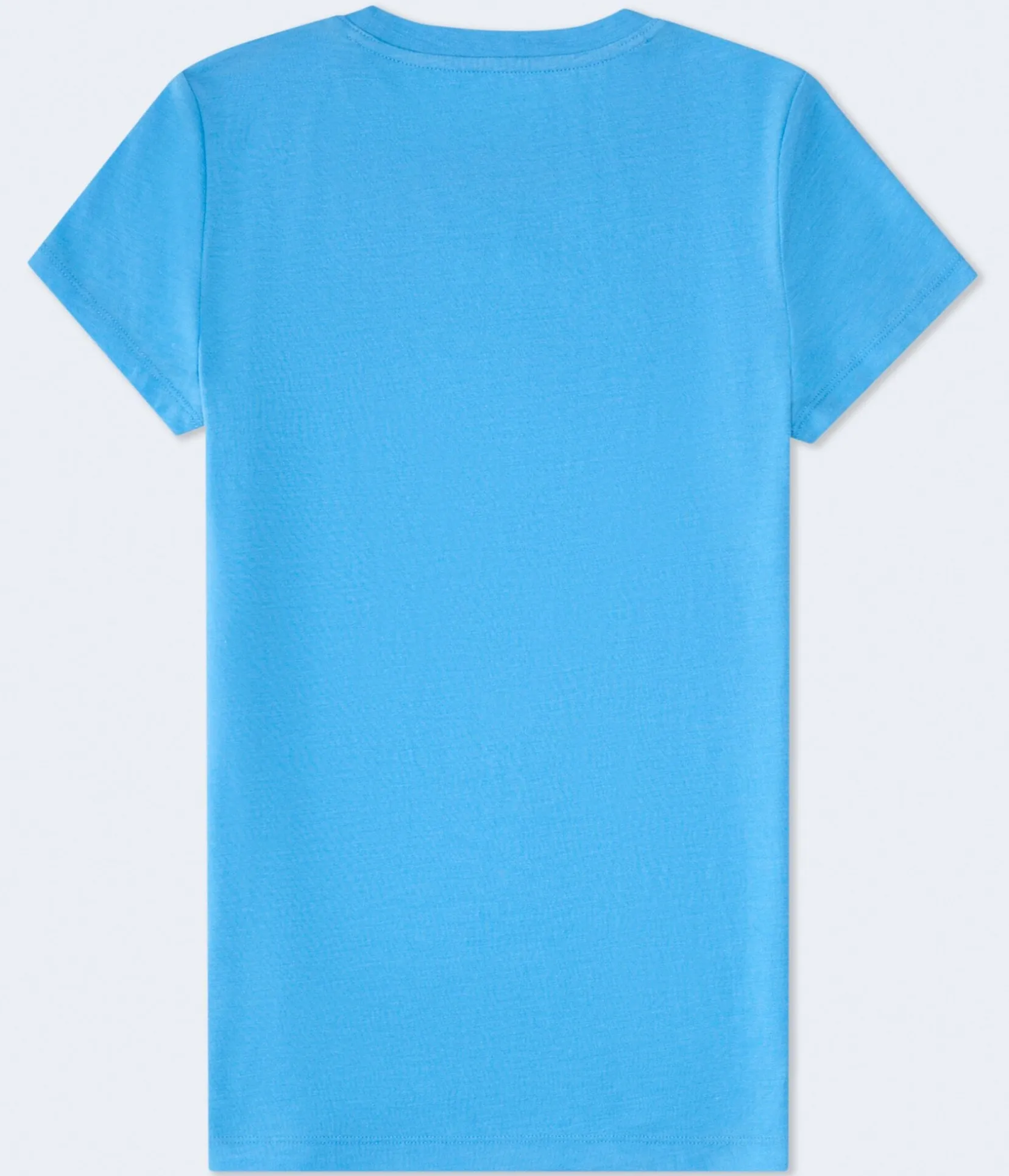 California Palm Hammock Foil Graphic Tee