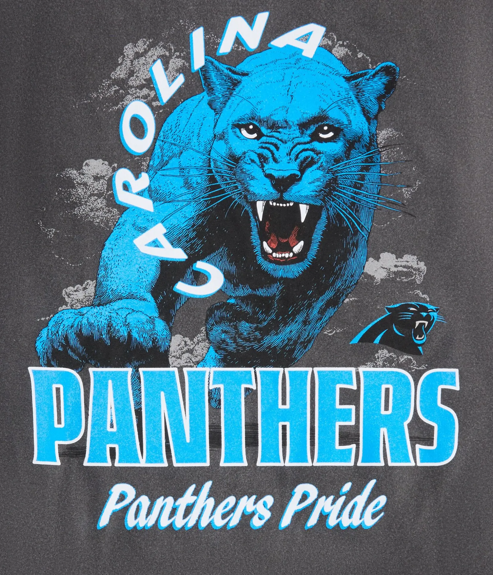 Carolina Panthers Mascot Relaxed Graphic Tee
