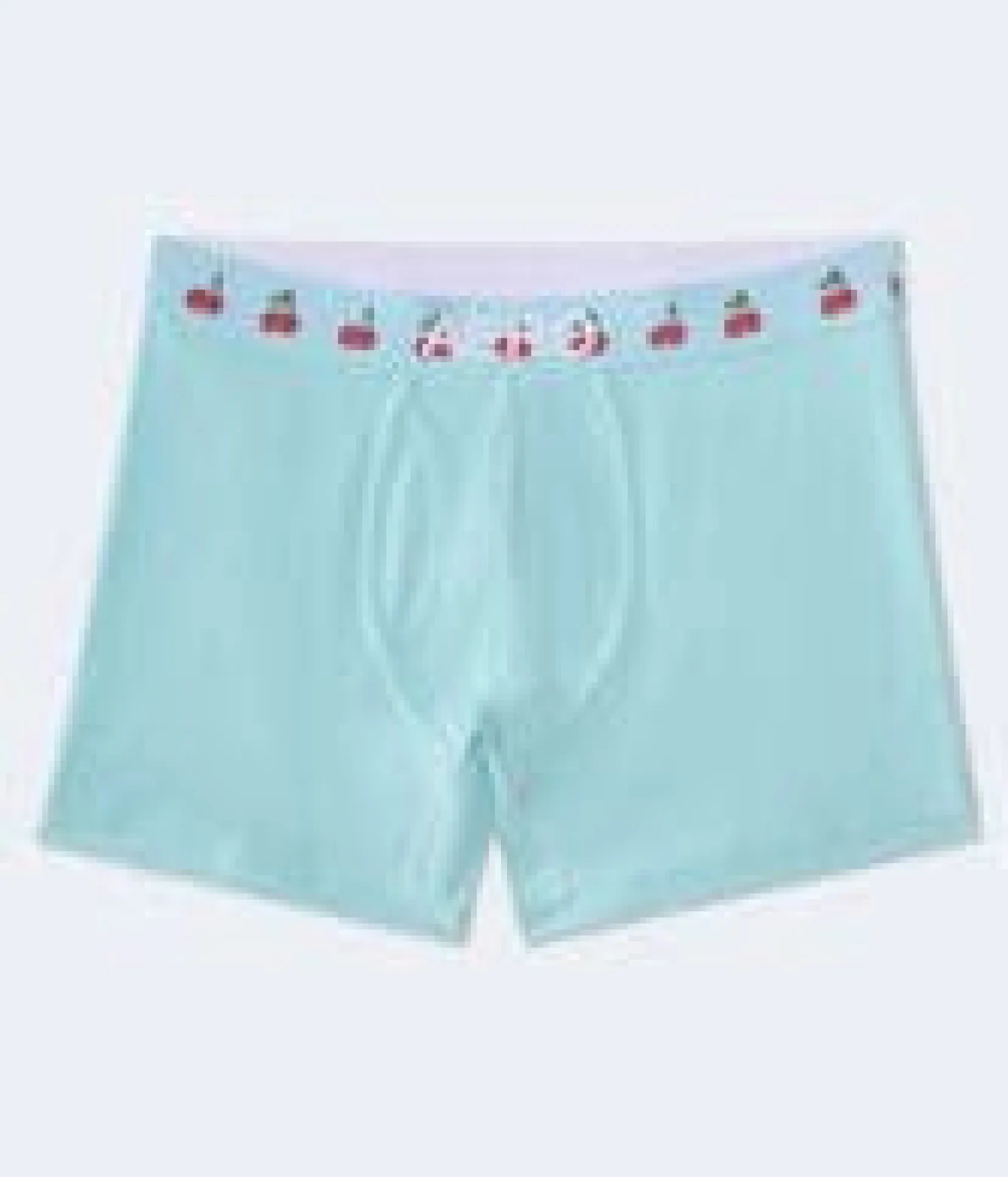 Cherry Waistband 4.5" Boxer Brief