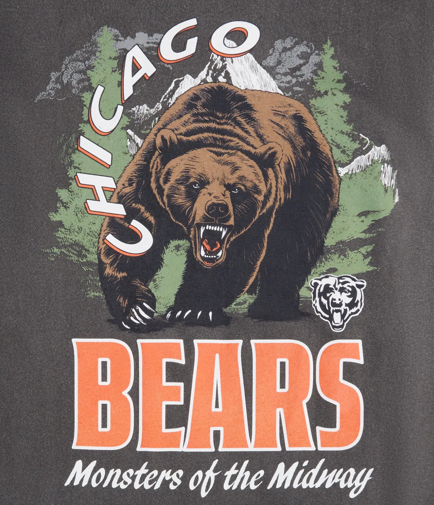 Chicago Bears Mascot Relaxed Graphic Tee