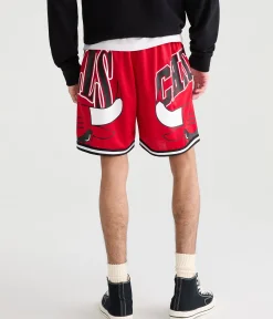Chicago Bulls Mesh Shorts
