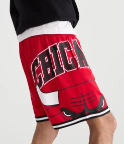Chicago Bulls Mesh Shorts