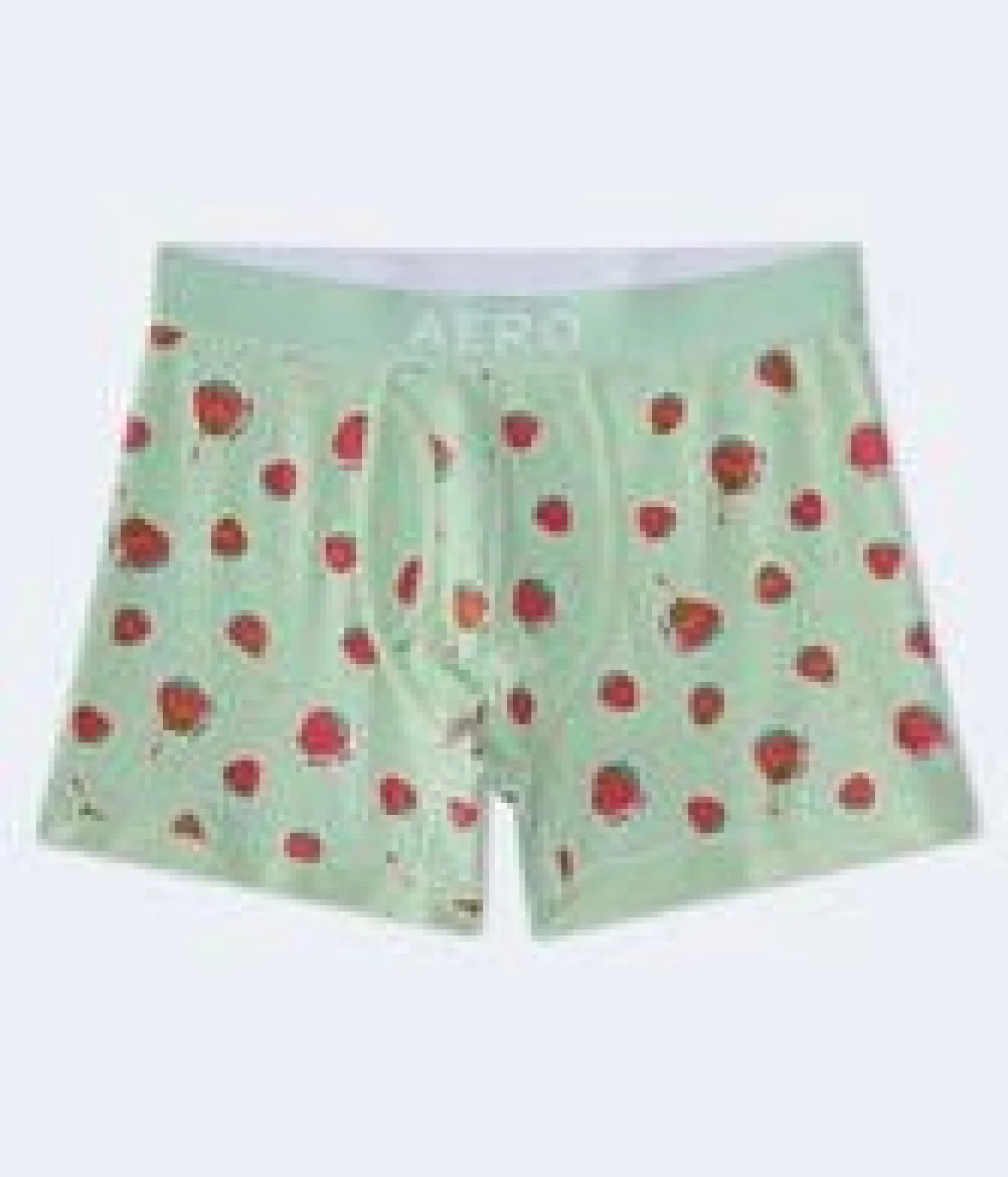Chocolate Strawberries 4.5" Boxer Brief
