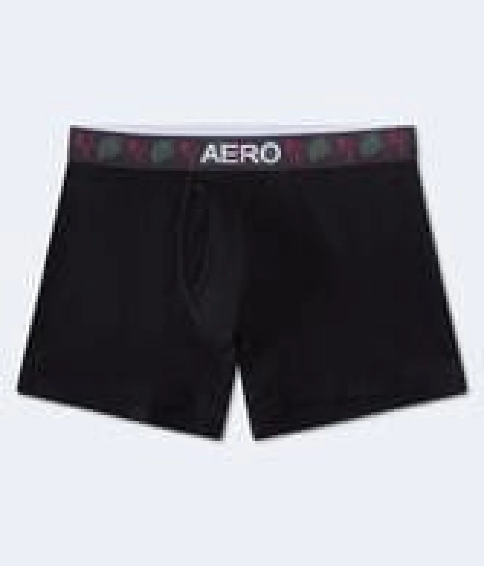 Flamingo Waistband 4.5" Boxer Brief