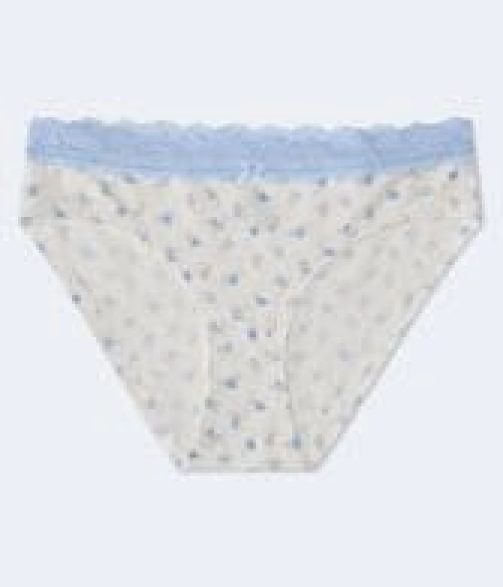 Floral Lace-Trim Hipster