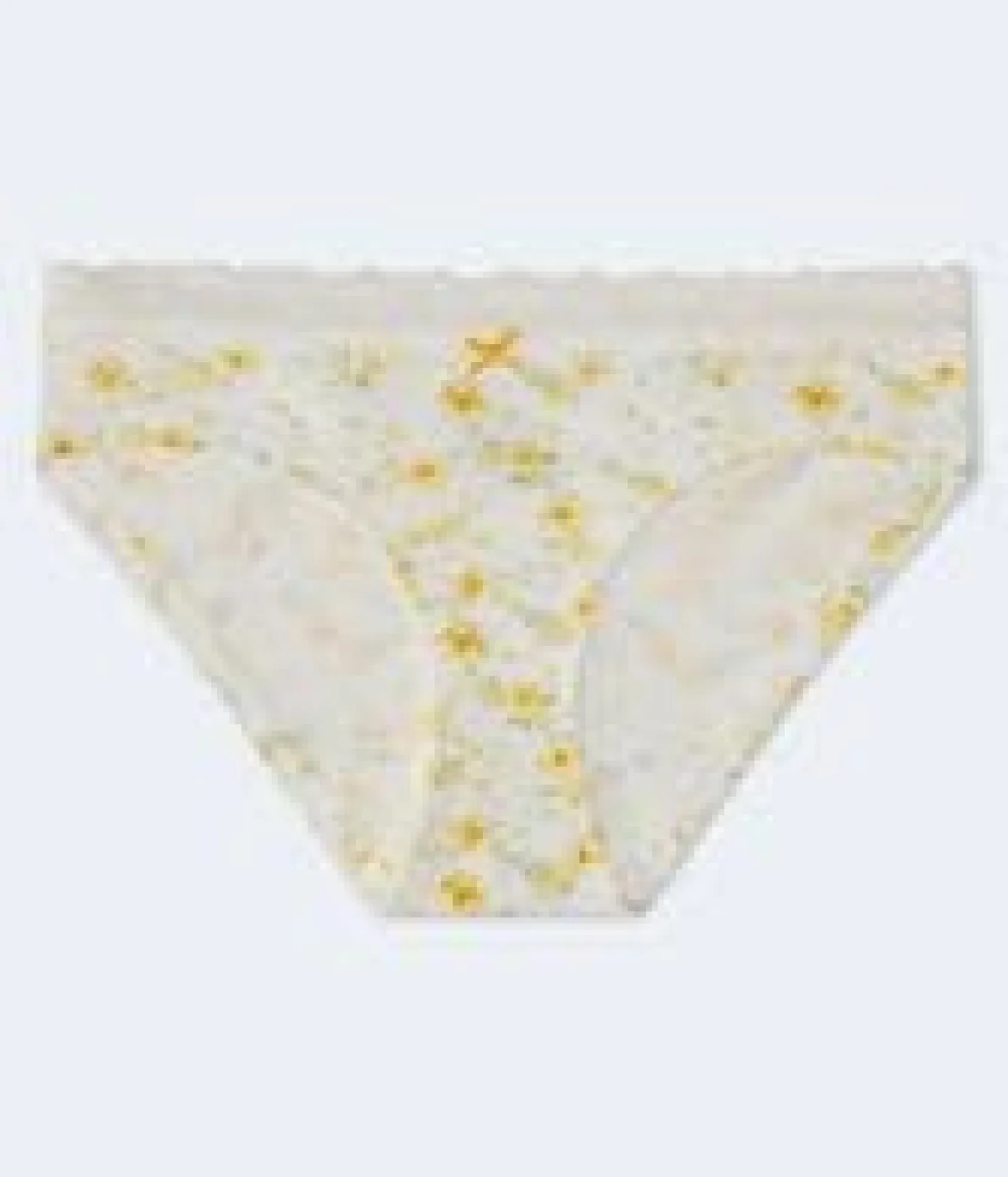 Floral Lace-Trim Hipster