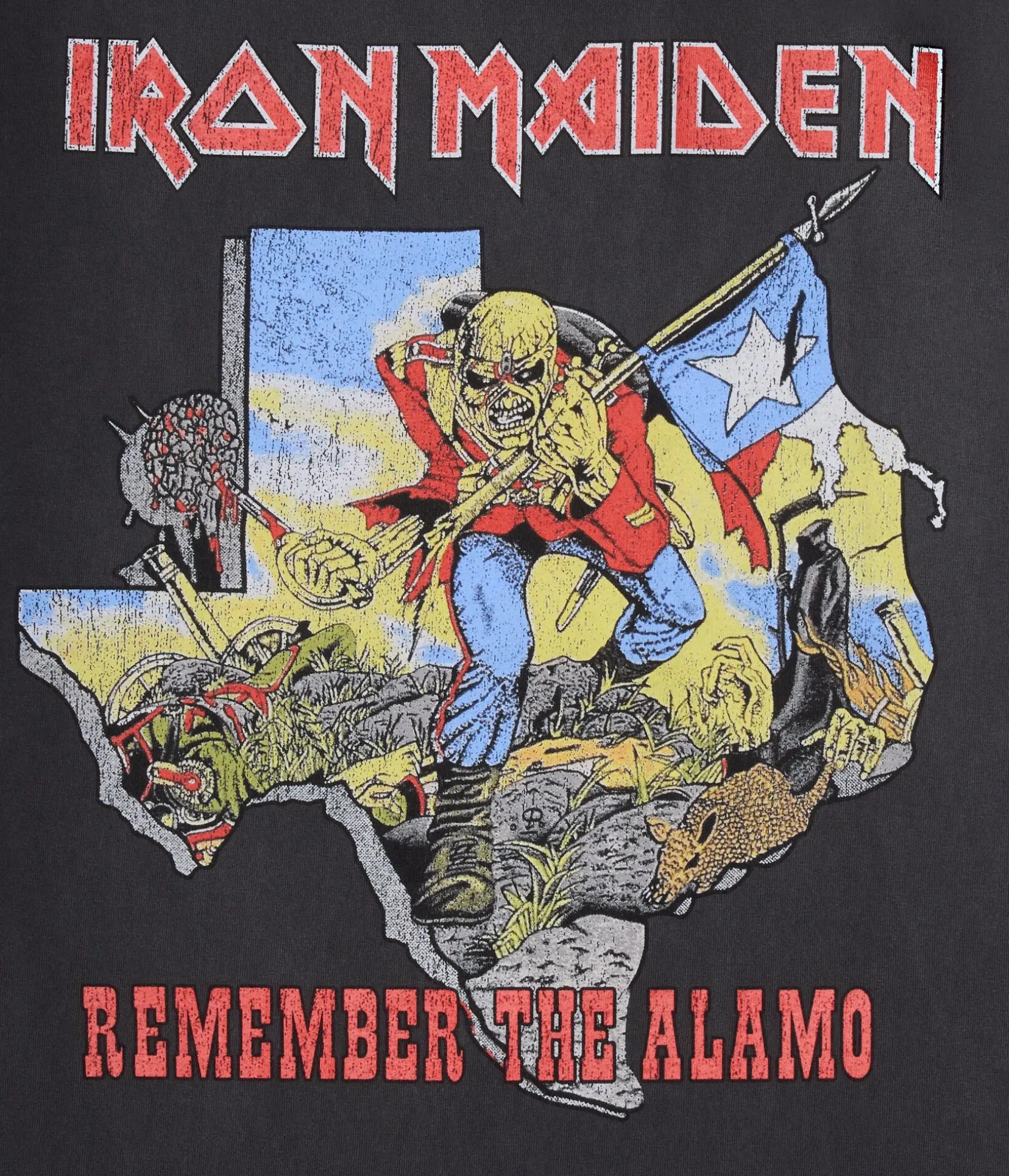 Iron Maiden Remember The Alamo Relaxed Graphic Tee