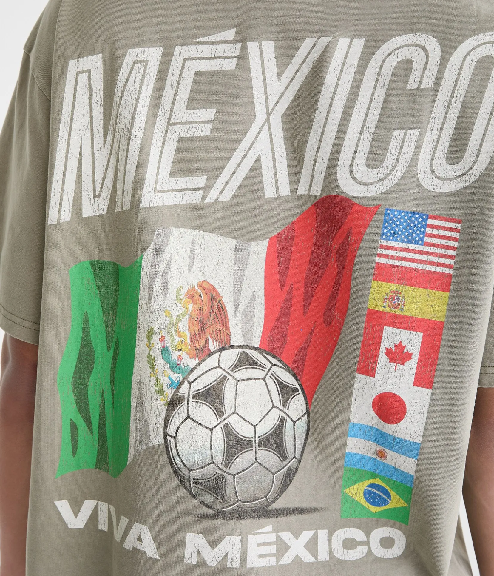Viva México Relaxed Graphic Tee